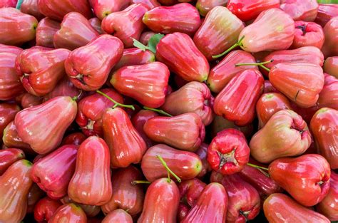 5 Reasons The Jambu Is An Under Appreciated Fruit Fruitwerkz