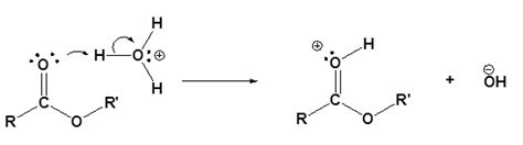 Transesterification - Process, Reaction Mechanism, Applications