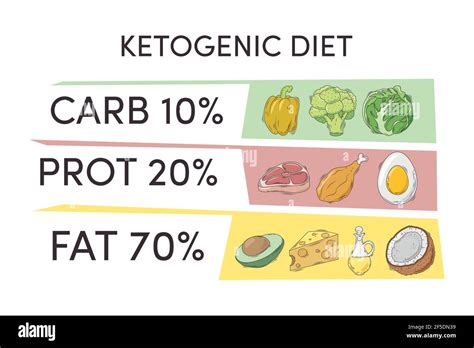 Healthy Ketogenic Diet Infographic Chart Stock Vector Image And Art Alamy