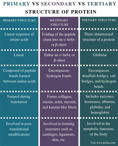 Difference Between Primary Secondary and Tertiary Structure of Protein - Pediaa.Com