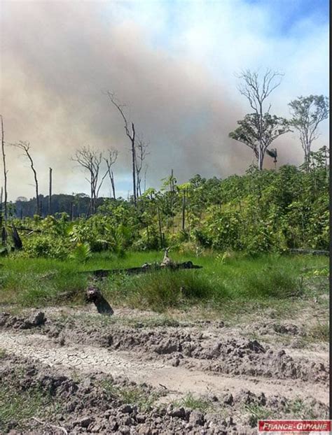 Huit Hectares De Végétation Et Deux Logements En Feu