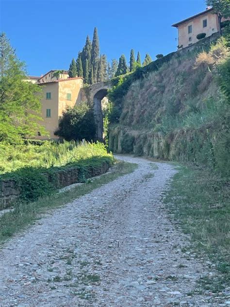 Valle Dell Inferno Tratto D Laterina Pergine Valdarno Loro