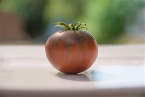 Cherokee Purple Tomato Profile & Grow Guide - Tomato Bible