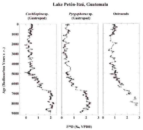 10. Oxygen isotope ( δ 18 O) records from the Lake Petén-Itzá core ...