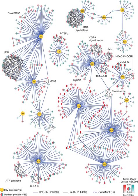 Network Representation Of The Hivhuman Ppis In Total 497 Hivhuman