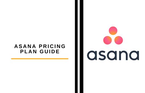 Asana Pricing Plan Guide The Digital Merchant