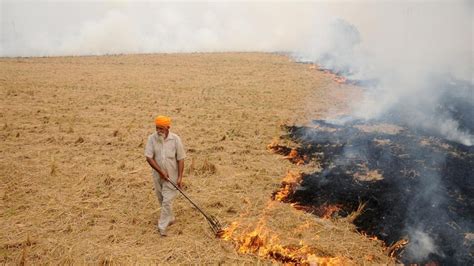 Punjab Facing Gamut Of Problems In Combating Farm Fires Hindustan Times