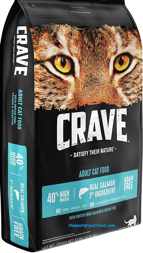 Best High Protein Dry Cat Food 2024 Reviews & Buyer Guide