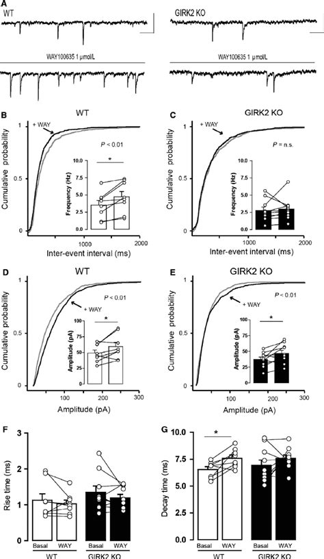 Effect Of The 5 Ht 1a Receptor Antagonist Way100635 On The Sipscs Of Dr