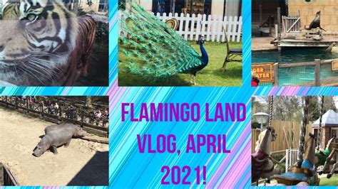 FLAMINGO LAND VLOG APRIL 2021 PART 2 YouTube