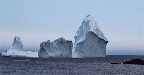 Massive iceberg on Newfoundland's Southern Shore attracts shutterbugs ...