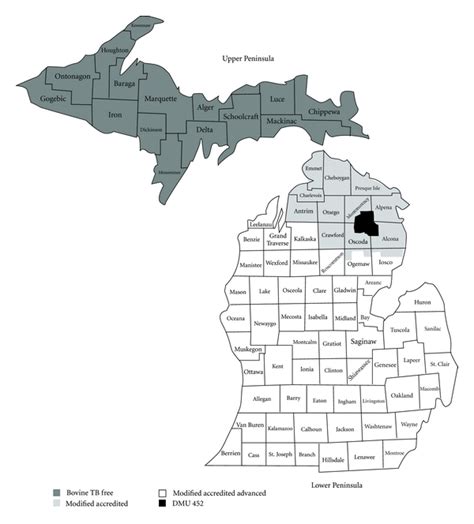 Upper Peninsula Counties Map