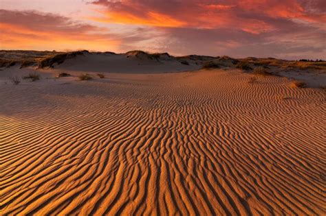 Puesta de sol sobre las dunas de arena en el desierto paisaje árido del