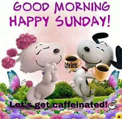 Pin By Becky Horton On Daily Greetings Snoopy Good Morning Happy