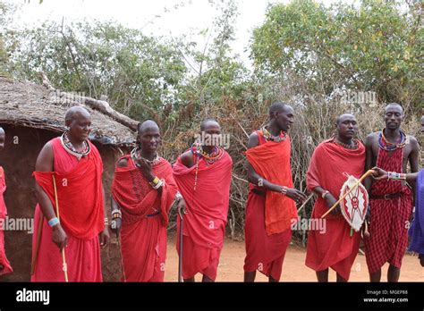 Men in the foreground of the African Masai tribe, dressed in their ...