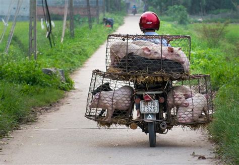 Around Hanoi Voyagista Flickr