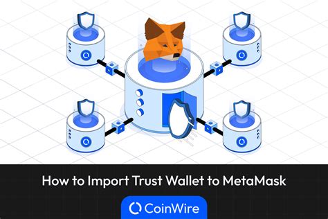 Import Trust Wallet to MetaMask: The Best Guide in 2024