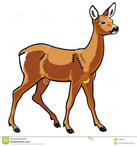 Roe Deer Clipart 20 Free Cliparts Download Images On Clipground 2024