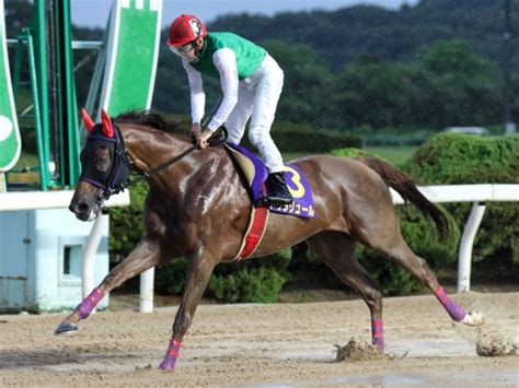 【佐賀・九州チャンピオンシップ結果】ドゥラリュールが8馬身差で新設重賞を制す 競馬ニュース