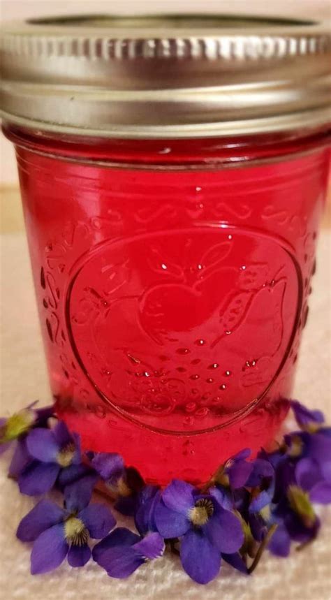 Recipe For How To Make Homemade Violet Jelly Hawk Point Hobby Homestead