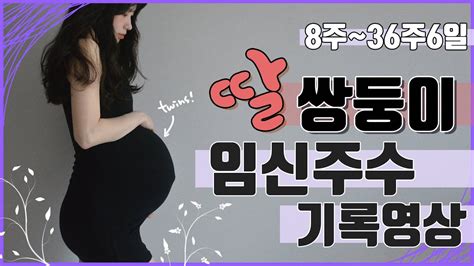 쌍둥이 임신 쌍둥이주수기록 딸쌍둥이 쌍둥이배크기 쌍둥이출산 쌍둥이배 쌍둥이 임신 주수별 배 크기