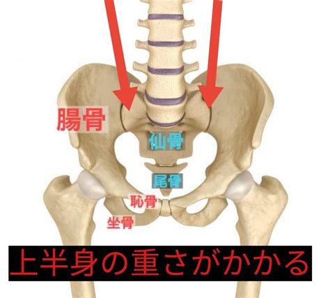 仙腸関節障害 所沢市南住吉の所沢接骨院