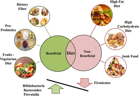 Gut Microbiota And Health Understanding The Role Of Diet