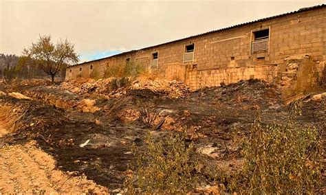 Despoblamiento Abandono Del Campo E Incendios En La Comunidad