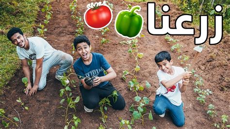 زرعنا خضروات في المزرعة🥒🌶 - YouTube