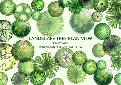 Landscape Tree Planarchitectural Illustration Tree Plan View Pngpsdjpeg Photoshop Overlay