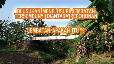 Menelusuri Jembatan Tersembunyi Di Antara Rimbunnya Pepohonan YouTube