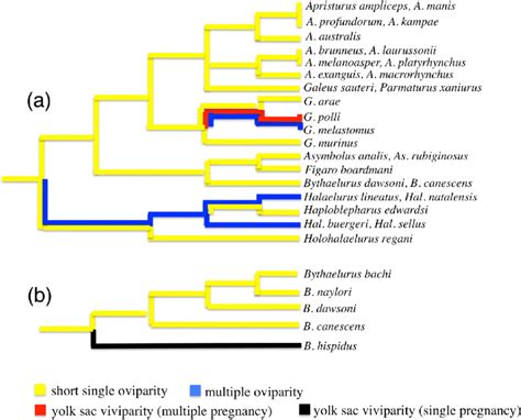 Reproductive Modes Mapped On Simplified Relationship Of A