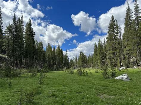 10 Best Waterfall Trails in Sierra National Forest | AllTrails