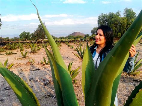 Tour cuatrimotos en Teotihuacán Sol y Luna Travel By FraVEO