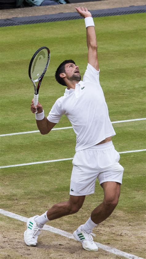 Novak Djokovic | Novak djokovic, Tennis players, Tennis pictures