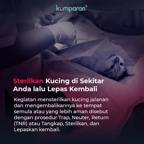 Kumparanplus On Twitter Kalau Sudah Yakin Kamu Bisa Mulai