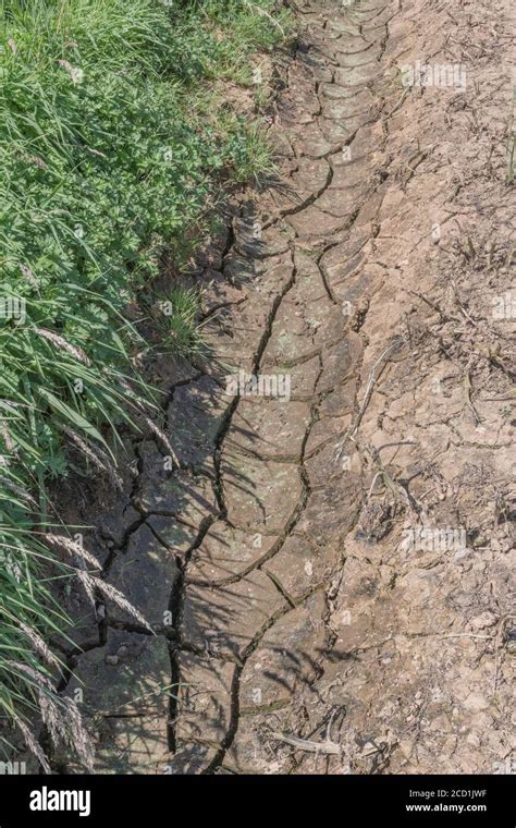 Cracked Mud In Dry Field Drainage Ditch For Water Shortage German