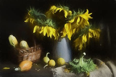 Images Gratuites Créatif lumière du soleil fleur jaune panier