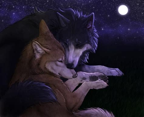 Commission Midnight Nuzzle By Jocarra On Deviantart Wolf Images Wolf