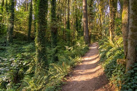 The Multnomah Wahkeena Falls Loop Trail A Complete Guide