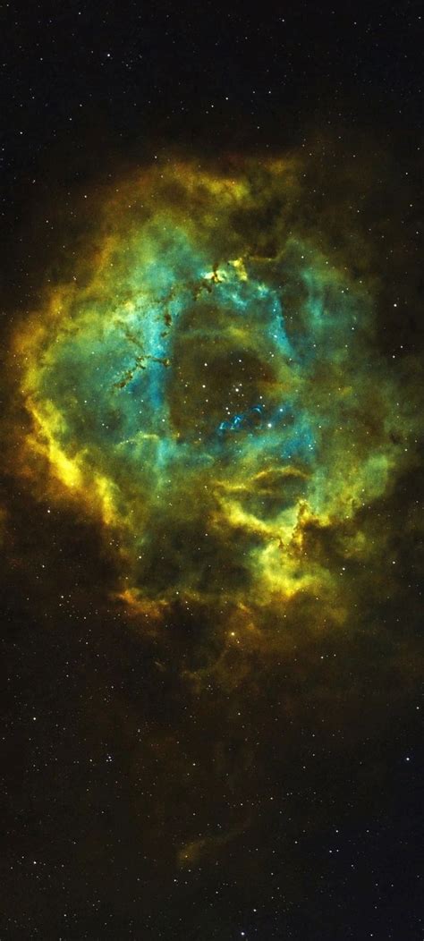 Ngc The Rosette Nebula Caldwell In Sho Palette Cropped