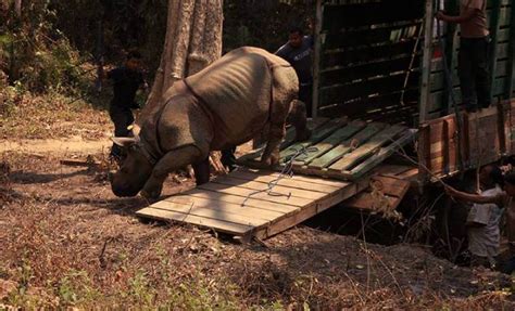 Kaziranga Wildlife Rehab Centre Wildlife Conservation Assam