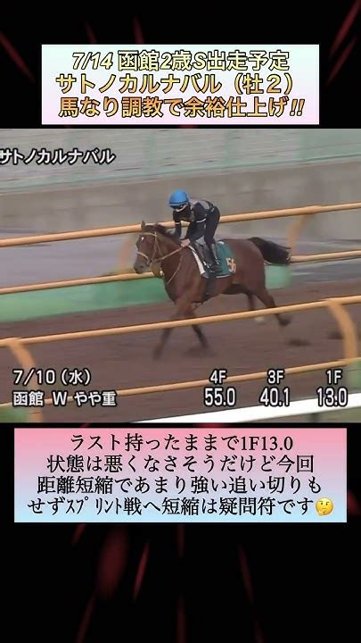 【競馬】初戦7馬身差圧勝のサトノカルナバル‼️世代最初の重賞制覇へ！函館2歳sへの最終追い切り‼︎ Shorts サトノカルナバル 競馬