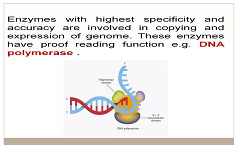 Enzymes (General Introduction & Action Mechanism) | PPT | Free Download