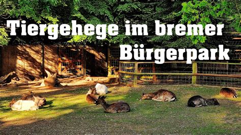 Tiergehege Bürgerpark Bremen 4K UHD Freie Hansestadt Bremen