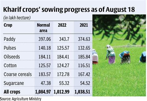 Kharif Sowing Falls 25 Paddy Deficit Narrows To 8 The Hindu