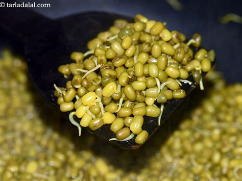 How To Sprout Moong Healthy Mung Beans Sprouts How To Sprout Mung