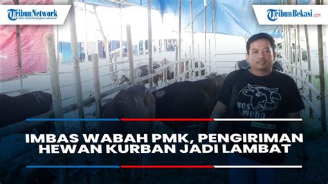 Imbas Wabah PMK Pengiriman Hewan Kurban Sapi Ke Karawang Jadi Lambat