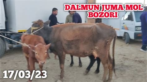 BUXORO JONDOR TUMAN DALMUNDAGI JUMA MOL BOZORI ONA BOLA SIGIR NARXLARI