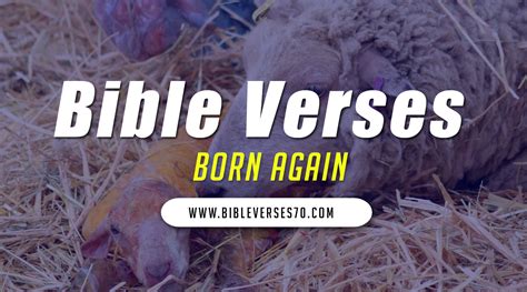 70 Bible Verses about Born Again | Church